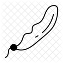  Icône
