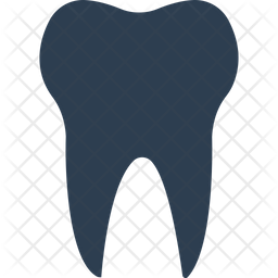 Molar Icon