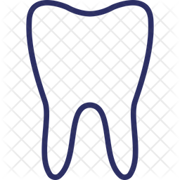 Molar Icon