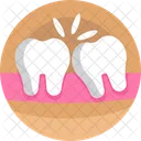 Dentistry Orthodontic Teeth Icon
