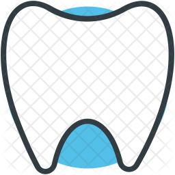 Molar Icon