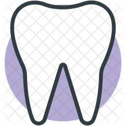 Molar Icon