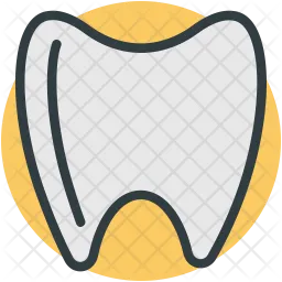 Molar  Icon