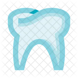 Molar  Icon