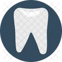 Molar Molar Teeth Tooth Icon