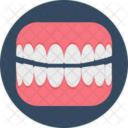 Molar Icon