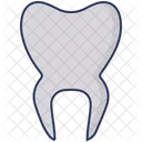 Molar Teeth Tooth Icon