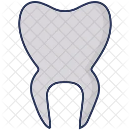 Molar  Icon