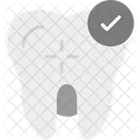 Molar Dental Dentist Icon