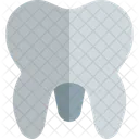 Molar  Icon