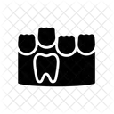 Molar Teeth  Icon