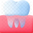 Molar Tooth Tooth Dental Care Icon