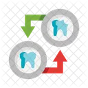 Molar Treatment  Icon