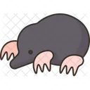 Mole  Icon