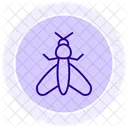 Mole Insect Cricket Icon
