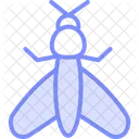 Mole Insect Cricket Icon