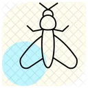 Mole Insect Cricket Icon