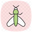 Mole Insect Cricket Icon