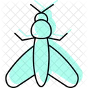 Mole Insect Cricket Icon