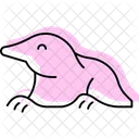 Mole Mammal Burrow Icon