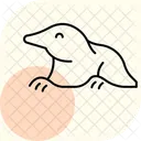 Mole Icon