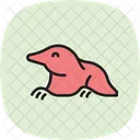 Mole Icon