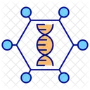 Molécula de DNA  Ícone