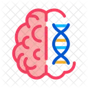 Cerebro Molecula Ciencia Ícone