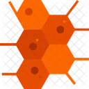 Molecules Cell Structure Icon