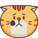 Molesto Emoticono Gato Ícone