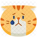 Molesto Emoticono Gato Ícone