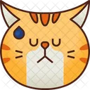 Molesto Emoticono Gato Icono