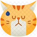 Molesto Emoticono Gato Icono