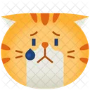 Molesto Emoticono Gato Ícone