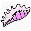 Mollusk  Icon