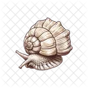 Shell Animal Snail Icon