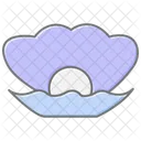 Mollusk Awesome Lineal Color Icon 아이콘