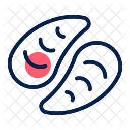 Mollusks Icon