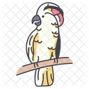 Moluccon Wildlife Cockatoo Icon