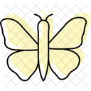 Monarch Insect Butterfly Icon