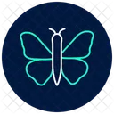 Monarch Insect Butterfly Icon