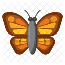 Monarch Butterfly Butterfly Insect Icon