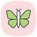 Monarch Insect Butterfly Icon