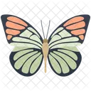 Monarch Tierwelt Sechsfusser Symbol