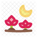 Blumen Wildblumen Fruhling Symbol