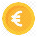 Dinero Euro Moneda Euro Icono