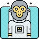 Moneky In Space  Icon