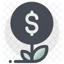 Money Plant Tree Icon