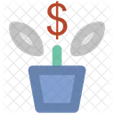 Money Plant Pot Icon