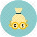 Cash Bag Money Icon